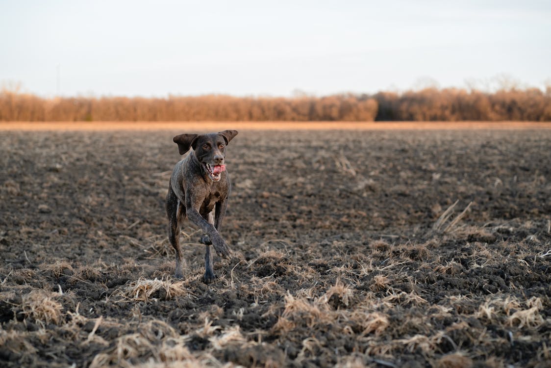 How to Sell Hunting Property in Kansas?